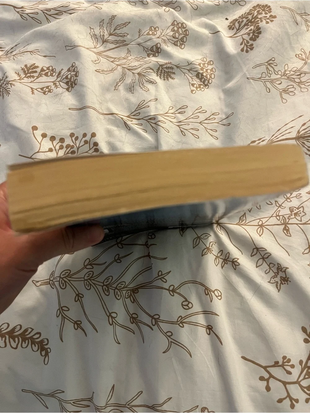 Ugly Love - Blue Paperback Novel